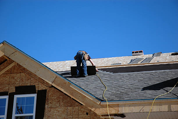 Best Roof Maintenance and Cleaning  in Mount Olive, NC